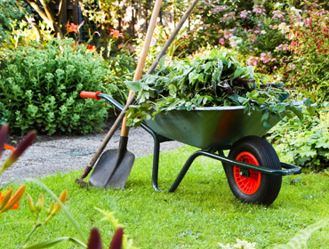 garden-cleaning.jpg
